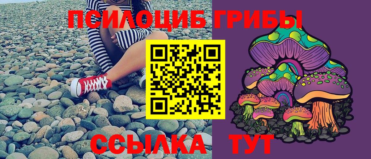 Мелеуз  Галлюциногенные грибы Psilocybine cubensis  даркнет сайт  Галлюциногенные грибы Psilocybine cubensis  Вход с VPN 