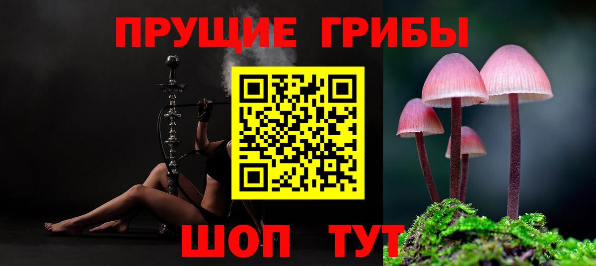 Псилоцибиновые грибы GOLDEN TEACHER Мелеуз